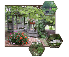 Kathy's Garden