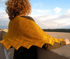 Zuni Shawl
