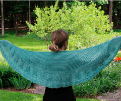 Turtles' Journey Shawl