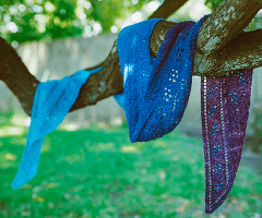 Lantana