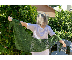 Fernside Shawl