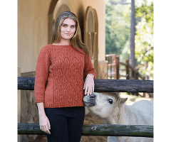 Cable and Lace Sweater