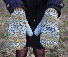 Helleborus Mittens