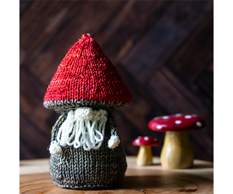 Frederik Fungi