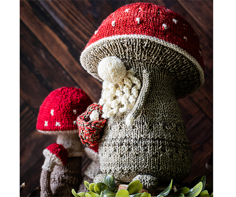 Professor Fungi