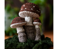 Wee Mushroom Trio