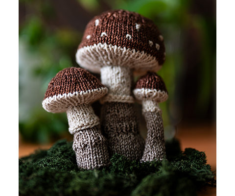 Wee Mushroom Trio